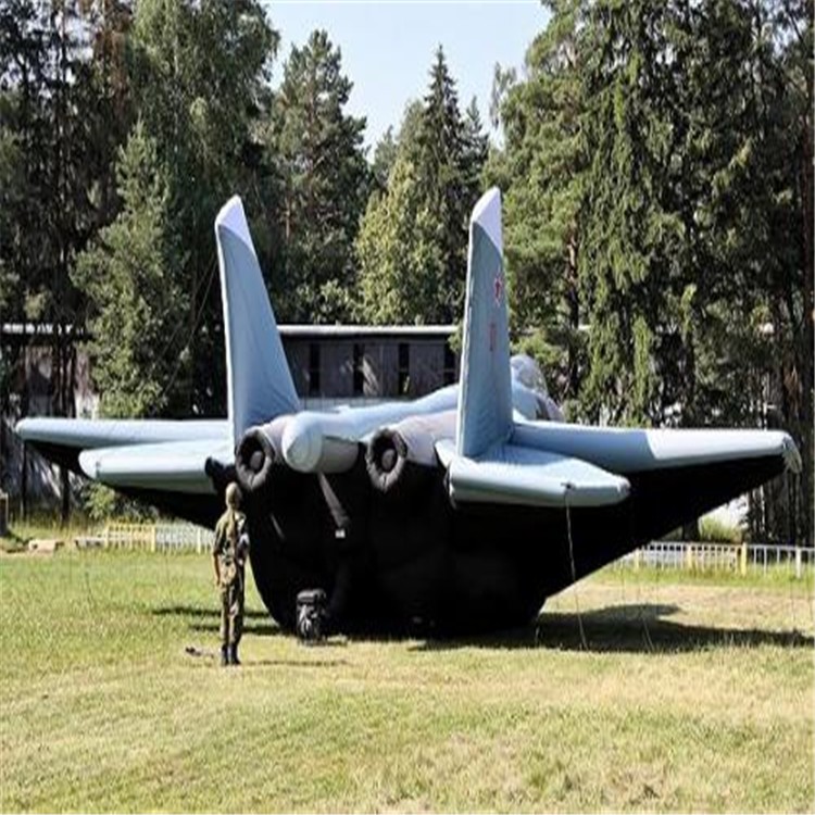 柳城充气飞机模型